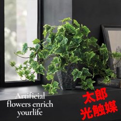 光触媒 人工観葉植物 ウォールグリーン フェイクグリーン ガジュマル