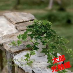 光触媒 人工観葉植物 ウォールグリーン フェイクグリーン ガジュマル