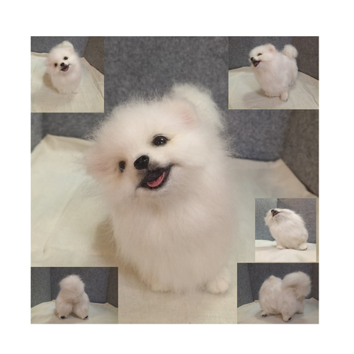 羊毛フェルト　オーダー　全身タイプ 全身作品 Lサイズ】羊毛フェルトどうぶつ オーダーメイド（受注生産