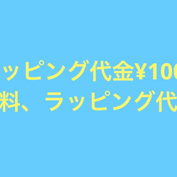 ⚠️お得な⑥苗⚠️オーロラ錦 虹の玉錦 抜き苗 多肉植物✳️ 多肉植物