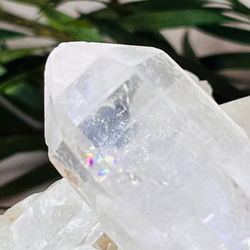 希少】結晶体 ローズクォーツ クラスター 紅水晶 原石 その他置物 東洋