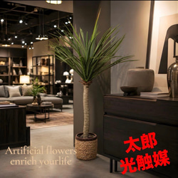 光触媒 人工観葉植物 ウォールグリーン フェイクグリーン ガジュマル