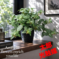 光触媒 人工観葉植物 ウォールグリーン フェイクグリーン ガジュマル