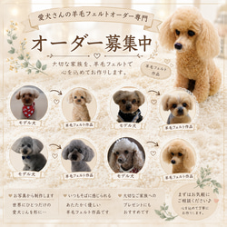 羊毛フェルト＃犬 リアルで可愛い オーダーメイド・わんちゃん