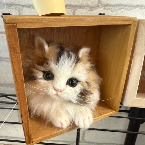 羊毛フェルト猫 羊毛フェルト犬 オーダーメイド うちの子 ペ ットロス