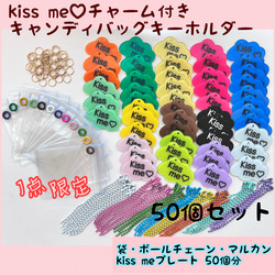 NO.203 50個 【袋サイズが選べる 】 キャンディバッグ キーホルダー