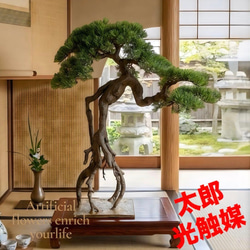 光触媒 人工観葉植物 ウォールグリーン フェイクグリーン サラサ