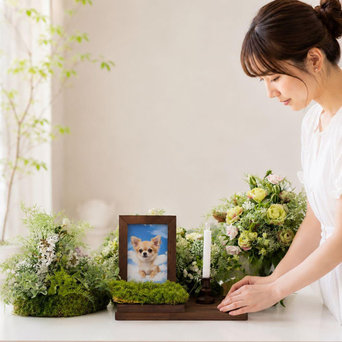 光触媒 ペットメモリアル祭壇｜あの子が駆けた緑の庭と祈りの