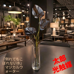 光触媒 人工観葉植物 ウォールグリーン フェイクグリーン ライムポトス