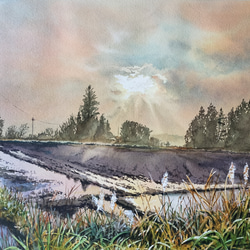 絵画 水彩画 風景画 画題「二本のメタセコイア」 絵画 yamakasumi56