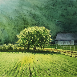 絵画 水彩画 風景画 画題「二本のメタセコイア」 絵画 yamakasumi56
