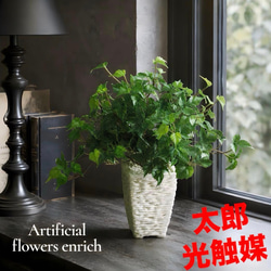 光触媒 人工観葉植物 ウォールグリーン フェイクグリーン 藤の花ツリー