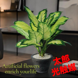 光触媒 人工観葉植物 ウォールグリーン フェイク フラワー