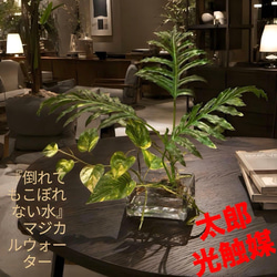 光触媒 人工観葉植物 ウォールグリーン フェイク フラワー