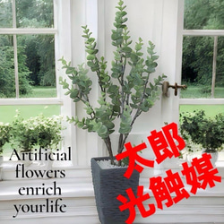光触媒 人工観葉植物 ウォールグリーン フェイクグリーン ウンベラータ