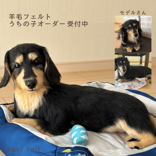 犬猫専門 羊毛フェルトオーダーメイド 羊毛フェルト Kuki Felt 通販