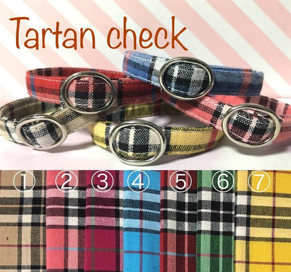 Tartan cheak＊迷子札付＊フルオーダーの軽い首輪 1枚目の画像