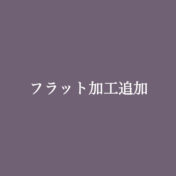 【追加購入用】フラット加工 1枚目の画像