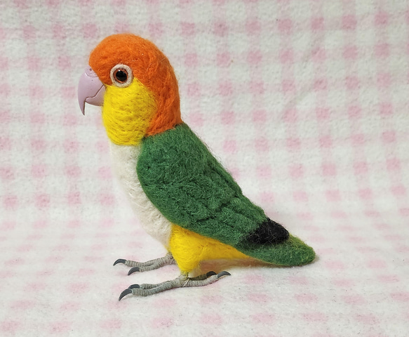 ***現實大小♪白腹鸚鵡☆羊毛氈***White-Bellied Caique　Stuffed wool 第3張的照片