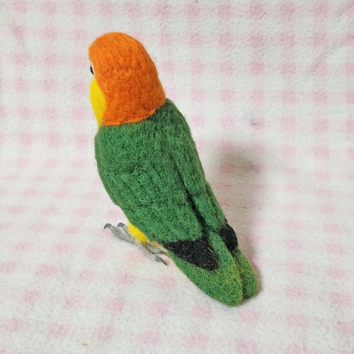 シロハラインコ・ズグロシロハラインコ ☆羊毛フェルト☆羊毛