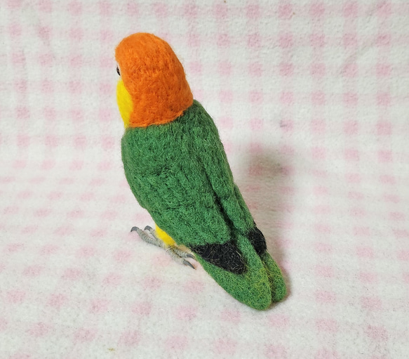 ***現實大小♪白腹鸚鵡☆羊毛氈***White-Bellied Caique　Stuffed wool 第6張的照片