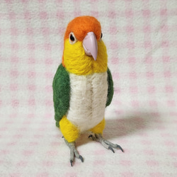 ライフサイズ♪ シロハラインコ 羊毛フェルト 羊毛インコ　受注作成　羊毛フィギュア　メモリアル　工房小鳥屋さん　 2枚目の画像