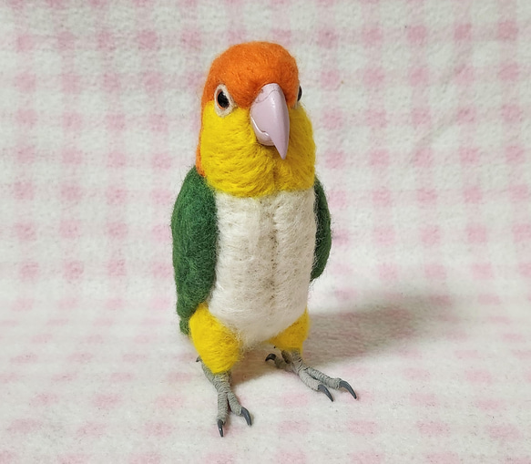 ライフサイズ♪ シロハラインコ 羊毛フェルト 羊毛インコ　受注作成　羊毛フィギュア　メモリアル　工房小鳥屋さん　 2枚目の画像