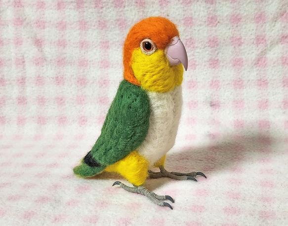 ***現實大小♪白腹鸚鵡☆羊毛氈***White-Bellied Caique　Stuffed wool 第5張的照片