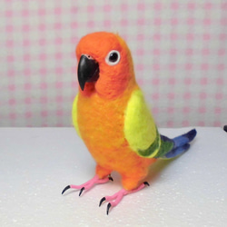 ライフサイズ　コガネメキシコインコ 羊毛フェルト　受注作成　羊毛インコ　うちの子オーダー可　メモリアル　工房小鳥屋さん 2枚目の画像