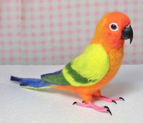 ***現實大小♪太陽錐尾鸚鵡(金太陽）☆羊毛氈***-Sun Conure *** 第3張的照片