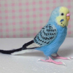 ほぼライフサイズ♪ セキセイインコ レインボーオパーリンスカイブルー 羊毛フェルト　鼻の色変更可能　受注作成　羊毛インコ 4枚目の画像