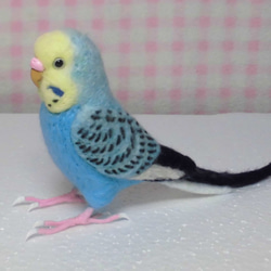 ***現實大小♪虎皮鸚鵡2☆羊毛氈***Budgerigar2 第3張的照片