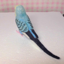 ほぼライフサイズ♪ セキセイインコ レインボーオパーリンスカイブルー 羊毛フェルト　鼻の色変更可能　受注作成　羊毛インコ 5枚目の画像