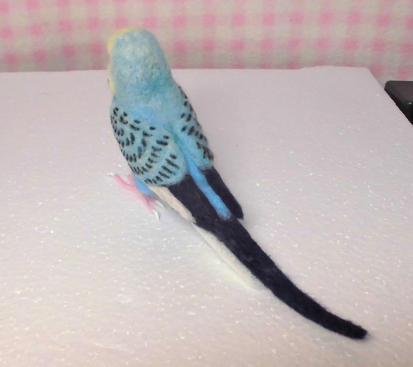 ほぼライフサイズ♪ セキセイインコ レインボーオパーリンスカイブルー 羊毛フェルト　鼻の色変更可能　受注作成　羊毛インコ 5枚目の画像