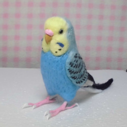 ほぼライフサイズ♪ セキセイインコ レインボーオパーリンスカイブルー 羊毛フェルト　鼻の色変更可能　受注作成　羊毛インコ 1枚目の画像