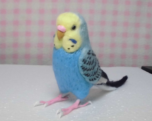 ほぼライフサイズ♪ セキセイインコ レインボーオパーリンスカイブルー