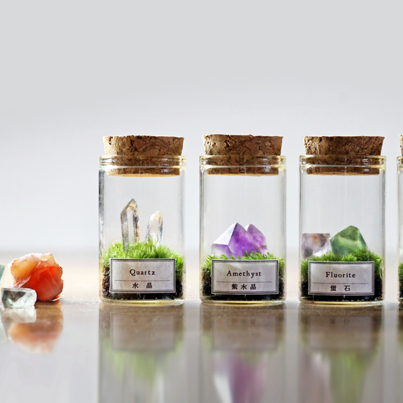 苔のミニテラリウム 鉱物と苔 1枚目の画像