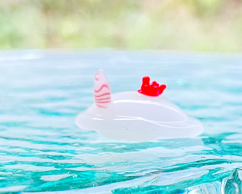 オーダー用サンプル】海の生き物シリーズ① （INFORMATION 