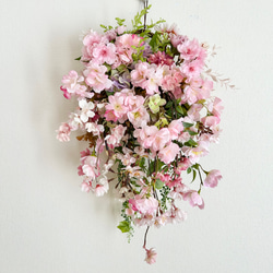 Dahlia hanging basket 1枚目の画像