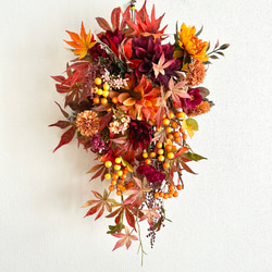 Dahlia hanging basket 4枚目の画像