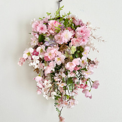 Dahlia hanging basket 2枚目の画像