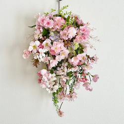 Dahlia hanging basket 3枚目の画像