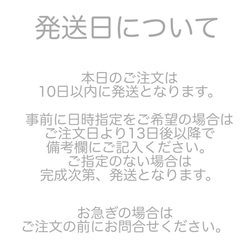 ご購入の前に必ずご確認下さい。 1枚目の画像