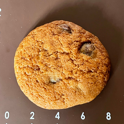 チョコチップクッキー(約8センチ) クッキー Maison Hiroko 通販