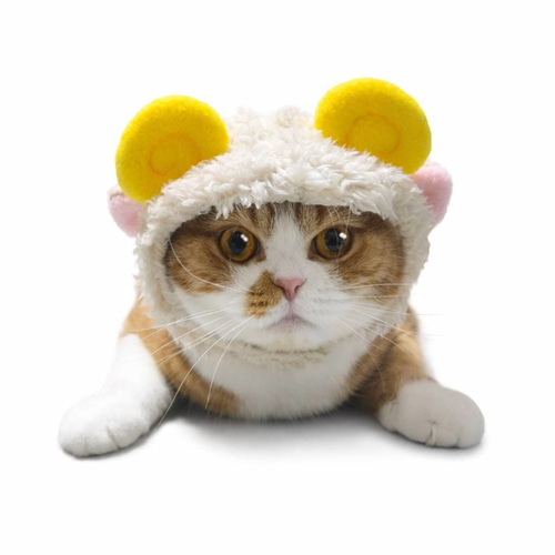 2027年 令和9年 干支 羊 未年 ひつじのかぶりもの（帽子） ペット服