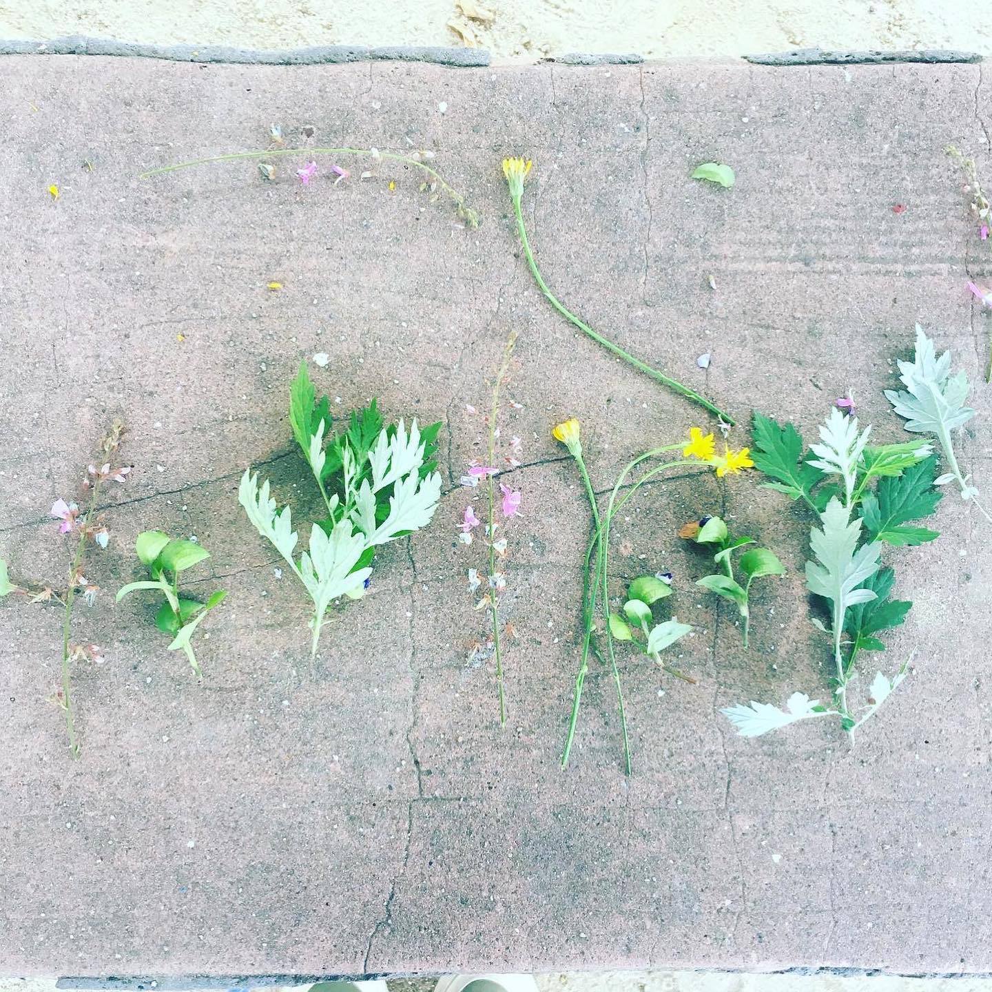 布ぞうり/ぬのっパ】ガーリーチェリービーチ