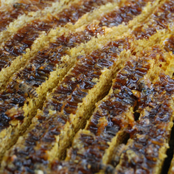 日本ミツバチの巣蜜（すみつ）70ｇ 4枚目の画像