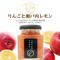 りんごと瀬戸内レモン【単品】　高級コンフィチュール（ジャム）「うれしいね。そうだね。」 1枚目の画像
