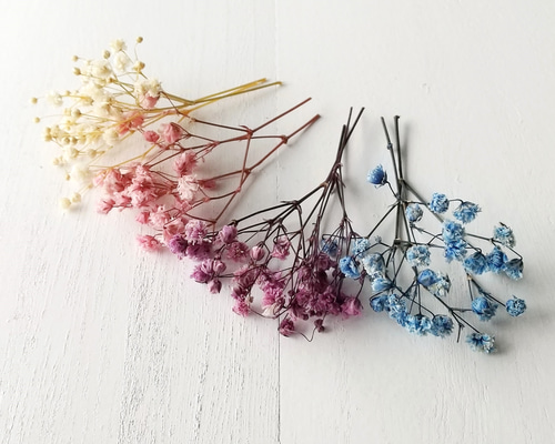 かすみ草 アンティークプリザ 全4色80粒 (プリザーブドフラワー