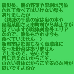 670.犬のおもちゃ犬用、かじり木、あまがみ対策、梨の木、小さめ中型犬向き 5枚目の画像